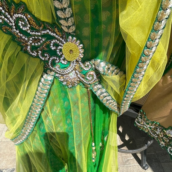 Beautiful custom costume - Picture 6 of 9